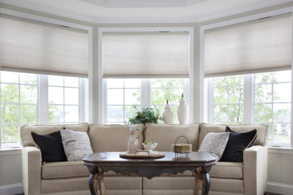 Innovative Environments